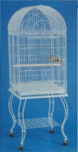 Cages for Small to Medium Birds