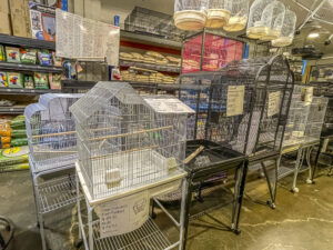 budgie cages | Sydney