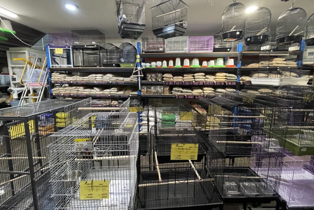a range of cages suitable for Hand Raised budgies on display